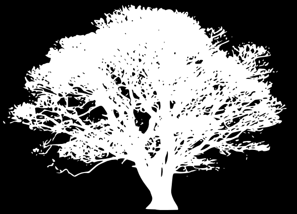 pine tree silhouette clip art. White Tree Silhouette On Black