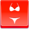 Bikini Icon Image