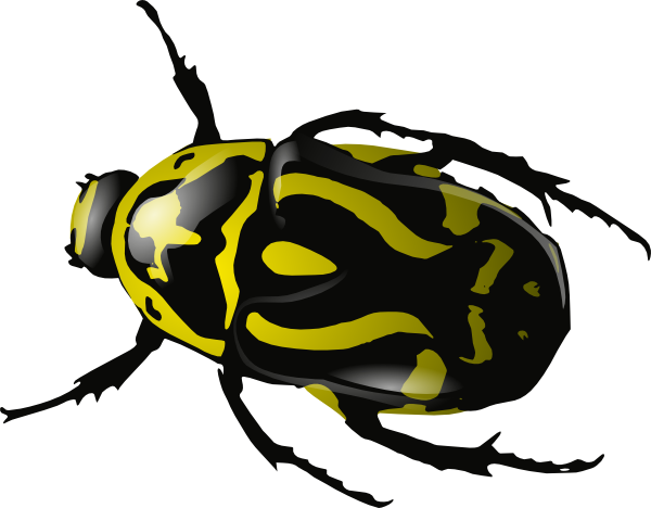 Srd Green Beetle 3 Clip Art at Clker.com - vector clip art online