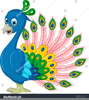 Peacock Clipart Cartoon Image