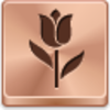 Free Bronze Button Tulip Image