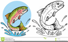Jumping Trout Clipart Image