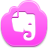 Evernote Icon Image