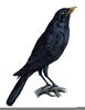 Halloween Crows Clipart Image