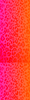 Pink Orange Leopard Print Image