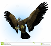 American Bald Eagle Clipart Image