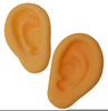Ears Clipart Free Image