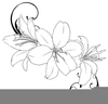 Free Lilly Clipart Image