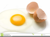 Egg Shells Clipart Image
