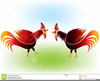 Clipart Of Roosters Fighting Image