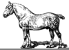 Percheron Draft Horse Clipart Image