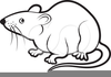 Rodent Clipart Free Image