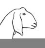 Nubian Goat Clipart Image