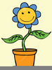 Sunflower In A Pot Clipart Image