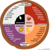 Eysenck Temperament Pie Chart - English Clip Art