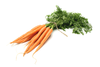 Carrots Image