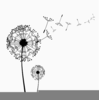Free Clipart Dandelion Flower Image