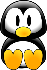 Baby Penguin Image