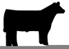 Black Angus Steer Clipart Image