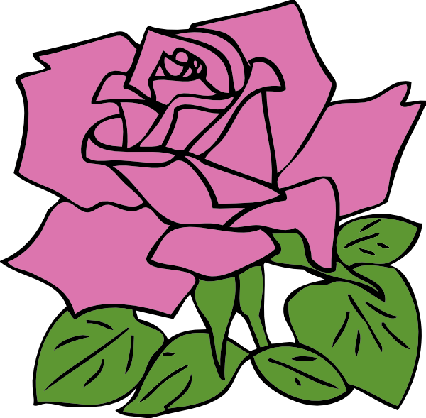 pink rose tattoo. pink rose tattoo art