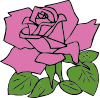 Rose Clip Art