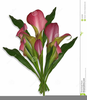 Calla Lily Wedding Clipart Image