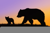 Grizzly Bear Free Clipart Image