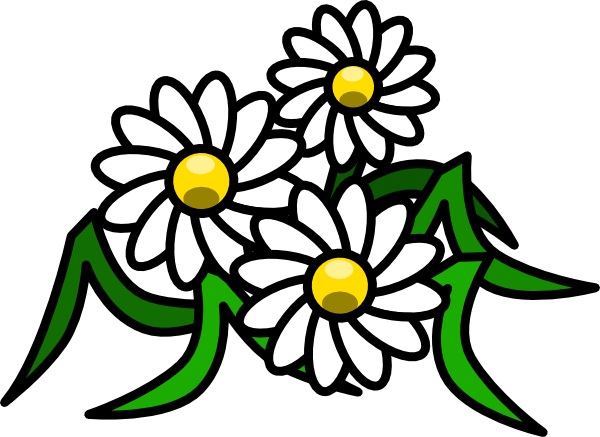 free white flower clip art - photo #25