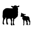 Clipart Pictures Of Lambs Image