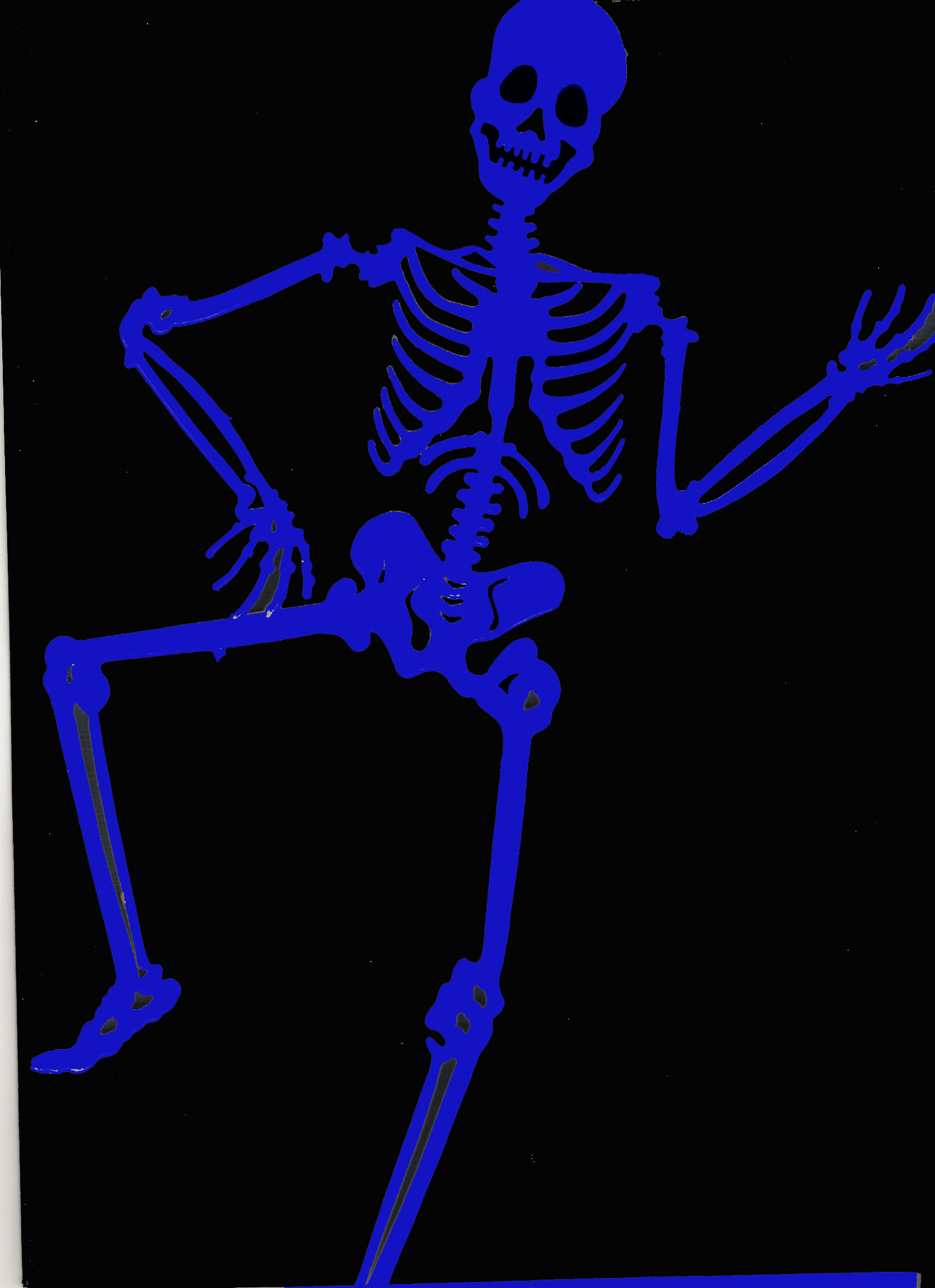 Skeleton | Free Images at Clker.com - vector clip art online, royalty