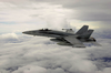 An F/a-18c Hornet Patrols The Skies Image