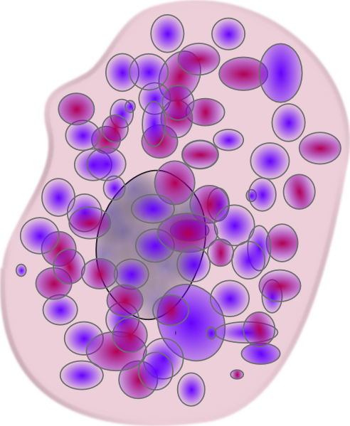 free clipart blood cells - photo #36