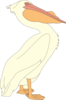 Pelican Clip Art