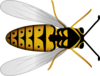 Bee Clip Art