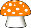 Fungo Arancione Clip Art