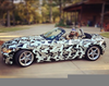 Willie Robertson Cars Image
