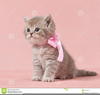 Free Pink Kitten Clipart Image