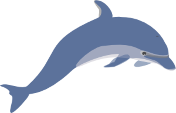 clipart of dolphin - photo #30