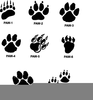 Clipart Cougar Paws Image