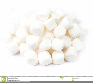 Marshmallow Pictures Clipart Images Image