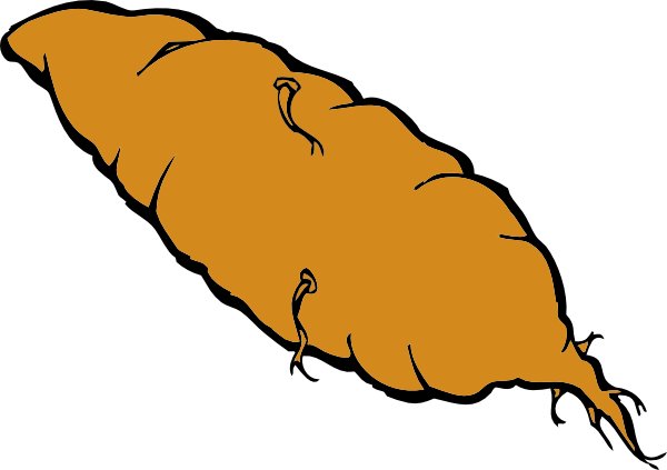 clipart of yam - photo #1