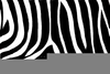 Zebra Print Background Clipart Image