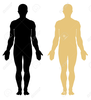 Clipart Human Body Outline Image