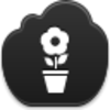 Pot Flower Icon Image