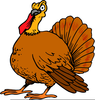 Free Animated Turkey Clipart Image