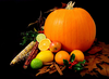 Still Life Picture Of A Pumpkin And Other Various Fruit On Black Background Image