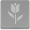 Tulip Icon Image