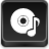 Music Disk Icon Image