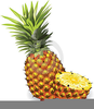 Hospitality Pineapple Clipart Image