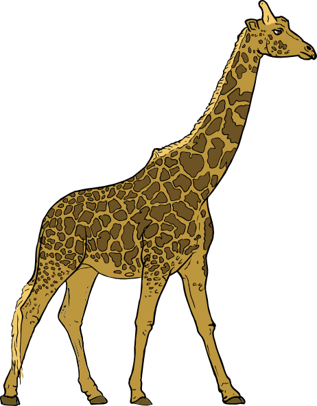 Giraffe Clip Art At Clker Com Vector Clip Art Online Royalty Free Public Domain